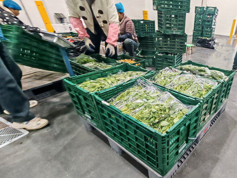 QQ图片20250320112655_副本