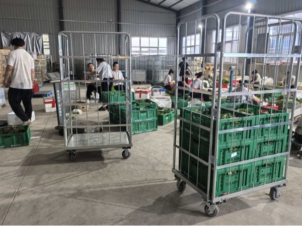 正基塑业将携折叠筐亮相良之隆·武汉食材节