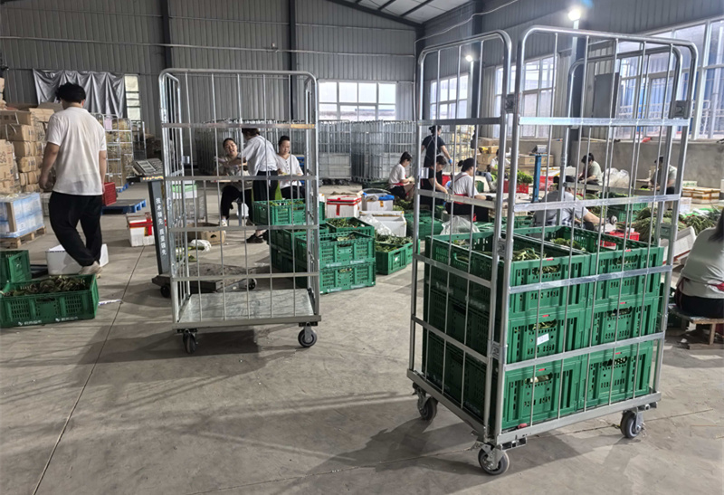 微信图片_20260324100651_2187_60_副本