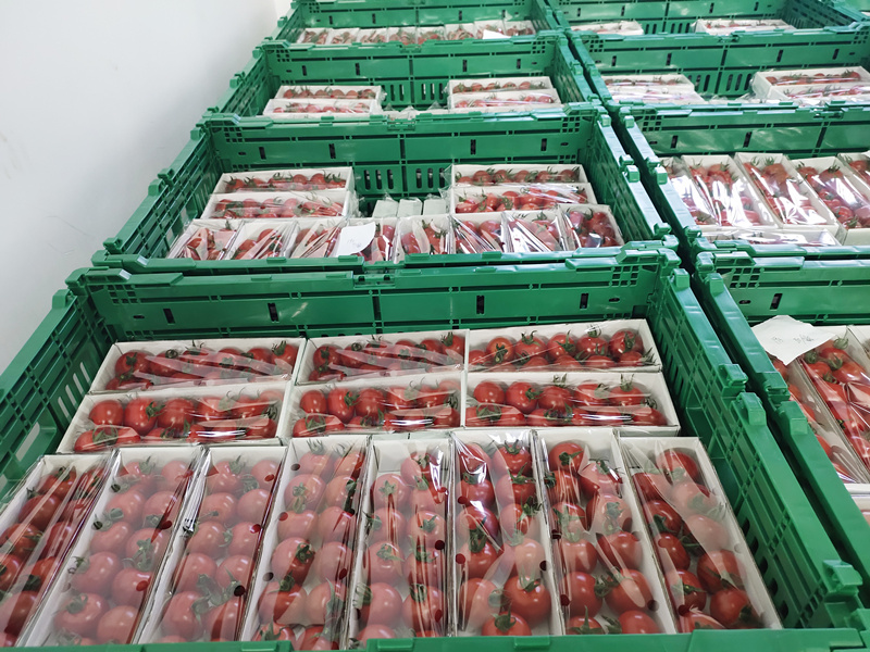 QQ图片20210617155754_副本